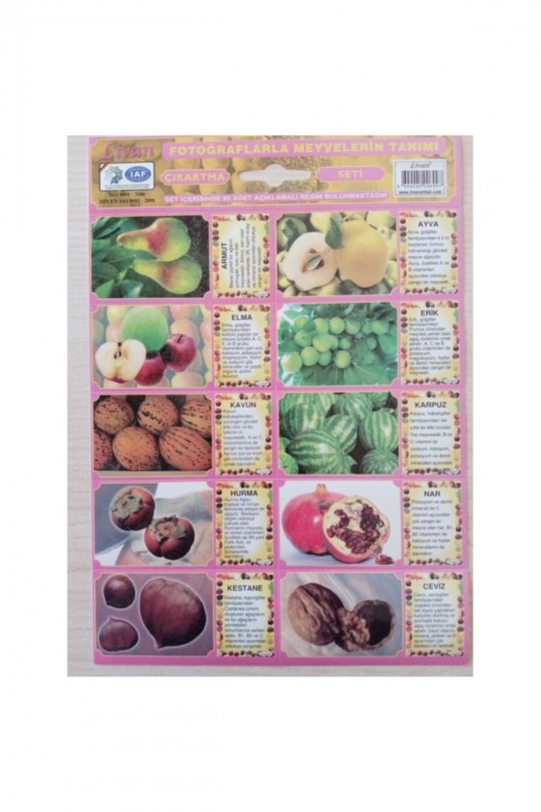 Livan Sticker Meyveler Tanıtım Seti - 2