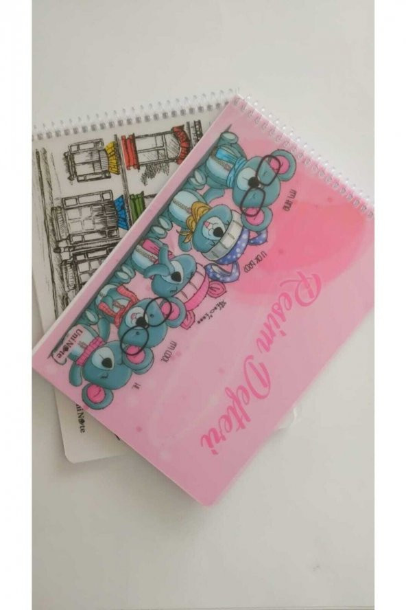 ÇINAR DİZAYN Unı Note 17x24 Spiralli Pp Kapak 25 Yaprak Resim Defteri (2 Adet) - 1