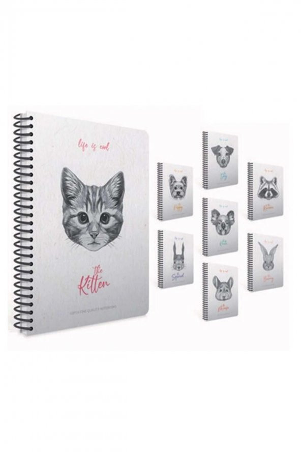 Gıpta Life Is Cool Spiralli Sert Kapak Defter 19x26cm 120 Yaprak Çizgili 4682 (karışık Renk 1 Adet) ürün görseli