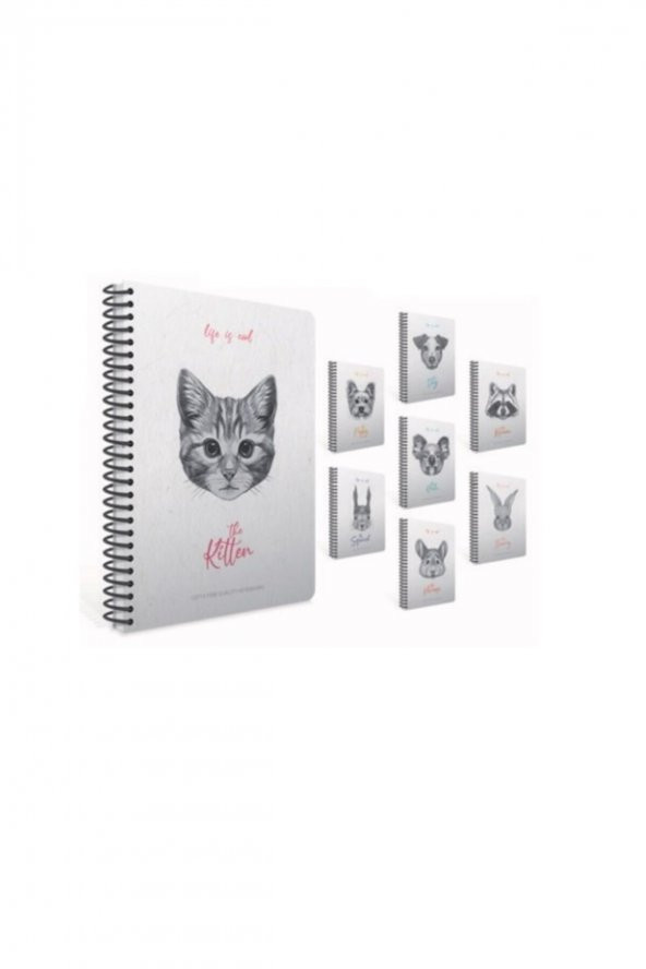 Gıpta Life Is Cool Spiralli Sert Kapak Defter 17x24cm 120 Yaprak Çizgili 4684 (karışık Renk 1 Adet) ürün görseli
