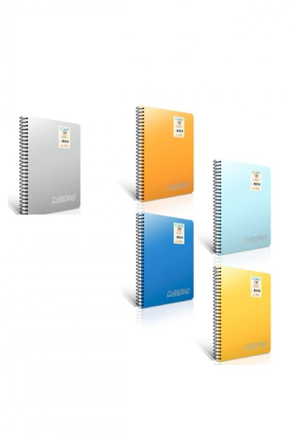 Chroma Gıpta 120 Yaprak A4 Chromo Spiralli Plastik Kapak Kareli Defter 1341 ürün görseli