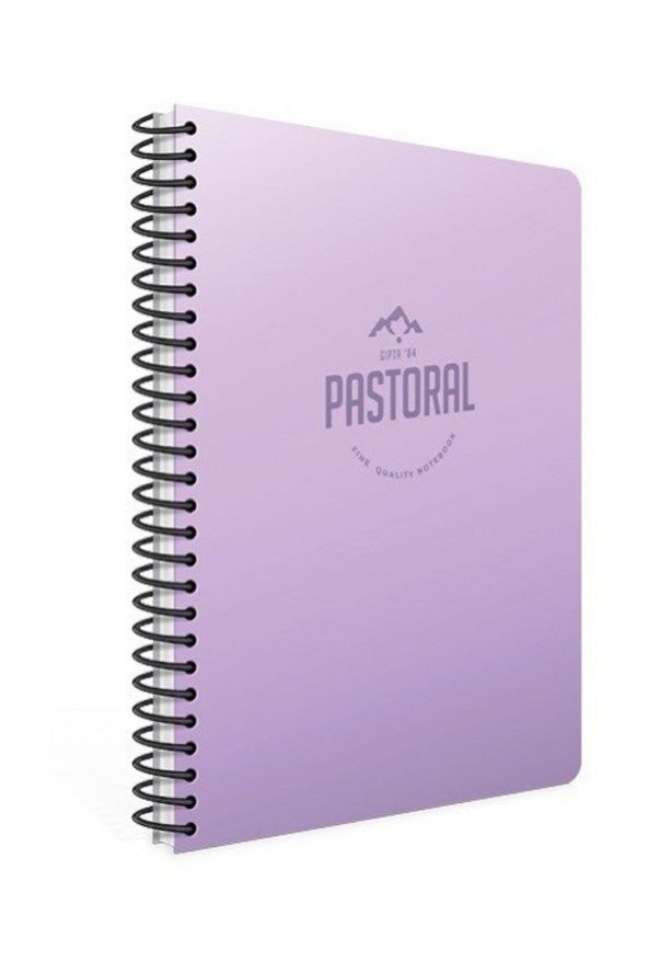 Gıpta Spiralli Pastoral Çizgili Defter 17x24 cm 72 yaprak - Resim 2