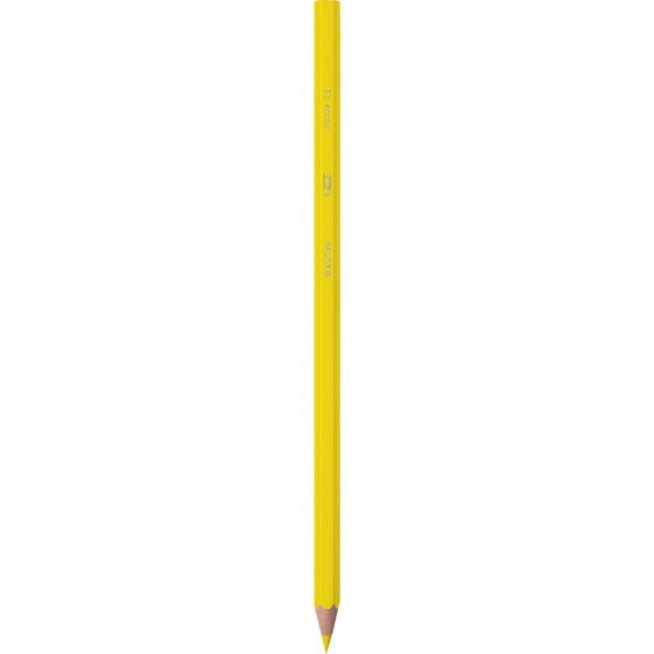 Bic Kids Tropicolors Kuru Boya Kalemi 12 Renk Uzun Tam Boy - 2