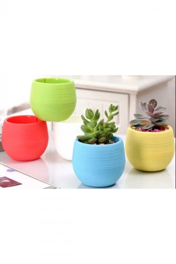 10 Adet Saksı Kaktüs Saksısı Elvan Saksı Minik Küçük Karışık Renkli Saksı 0,13 Litre - 6