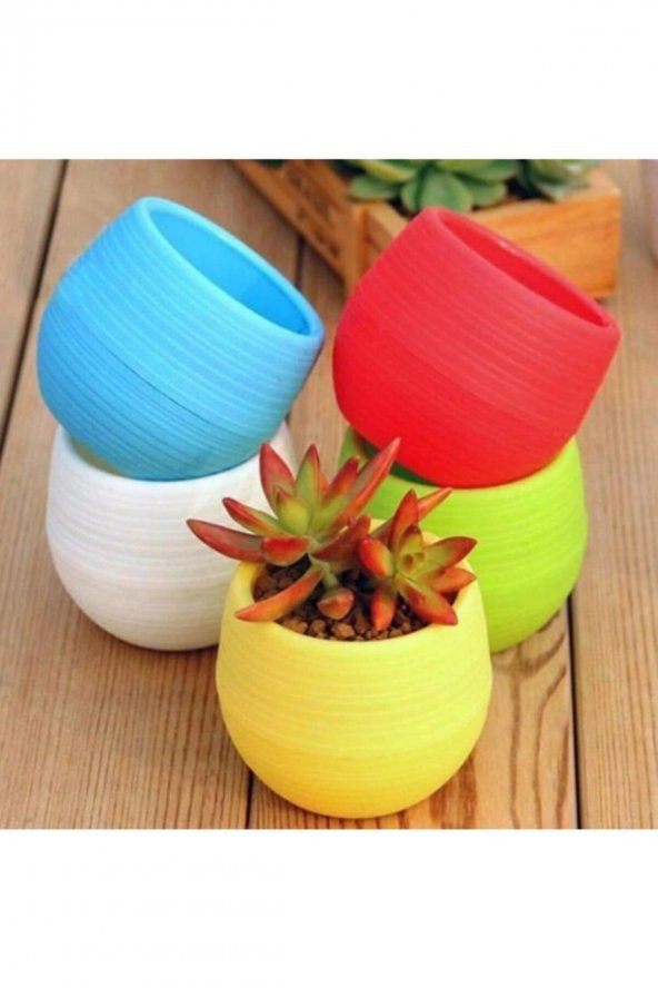 5 Adet Saksı Kaktüs Saksısı Elvan Saksı Minik Küçük Karışık Renkli Saksı 0,13 Litre - 2