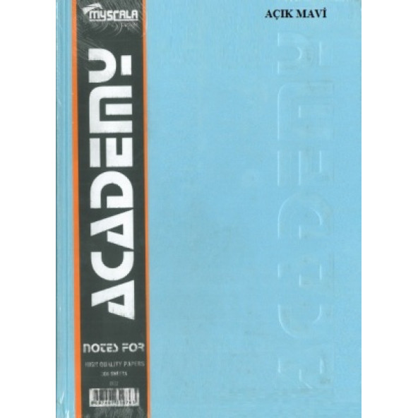 Defter 300 Yaprak Çizgili 20x28 Sert Kapak Ciltli - 8