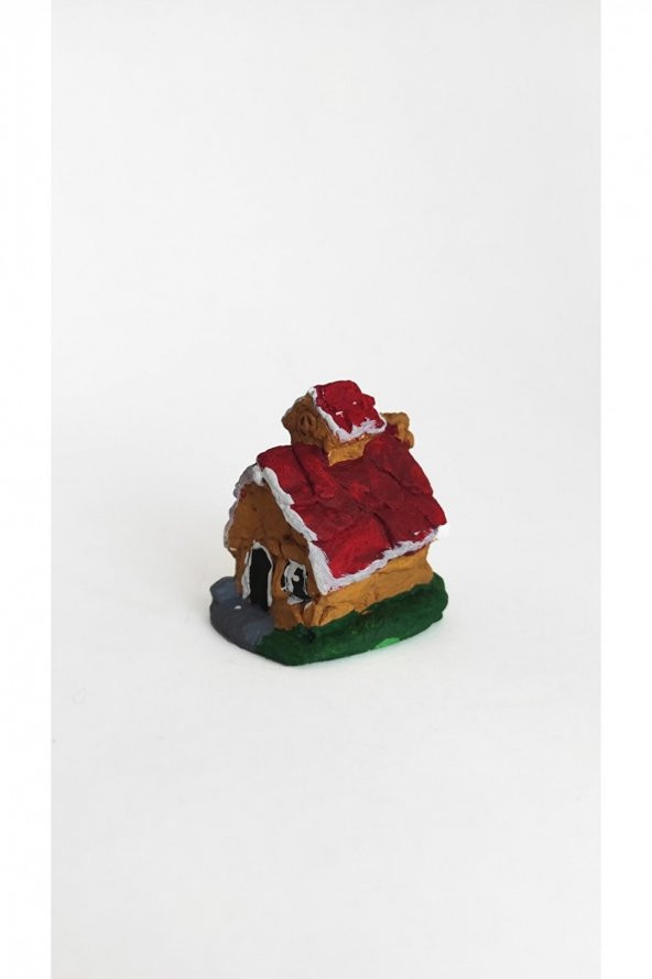 Minyatür Teraryum Küçük Ev Minik Bacalı