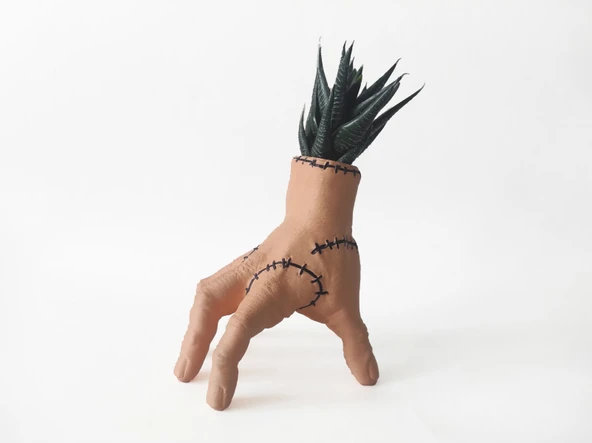 Wednesday Çarşamba Şey Thing Sukulent - Kaktüs Saksısı (Çiçeksiz) - Resim 2