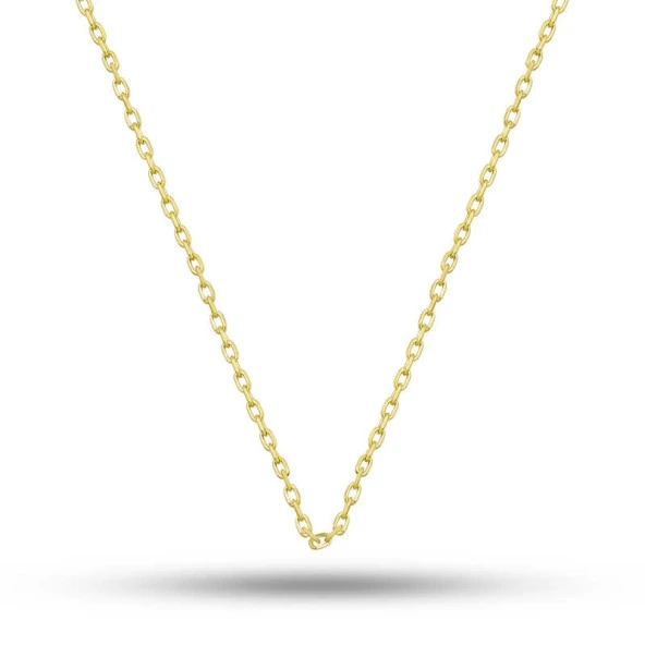Gümüş Gold 0.30 Mikron 45 Cm Forse Kadın Zincir - Resim 2