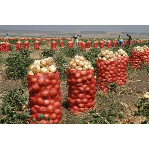 SOĞAN ÇUVALI (5 KİLOLUK) 25 ADET 30*50 cm - 2