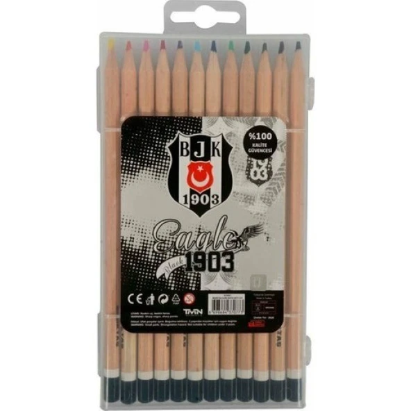 Beşiktaş Lisanslı Kuru Boya Seti 12 Renk ürün görseli