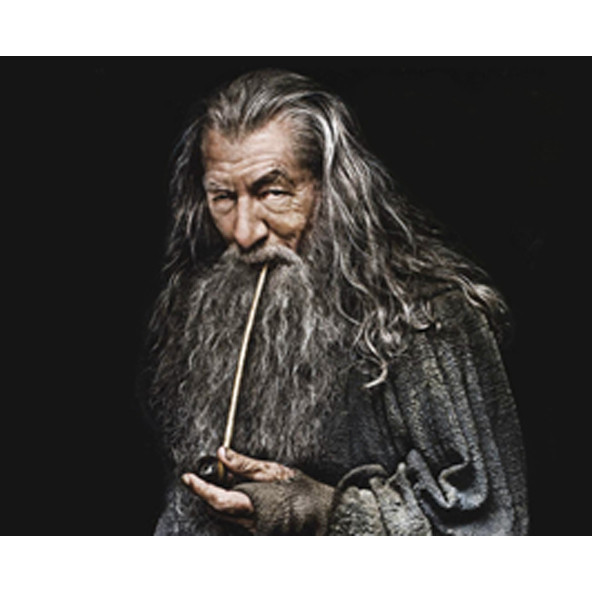 Gri Gandalf Yüzüklerin Efendisi Sayılarla Boyama Seti - 1