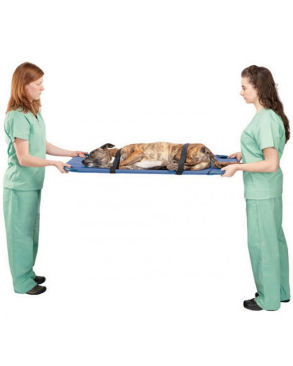 Köpek Taşıma Sedyesi - 2