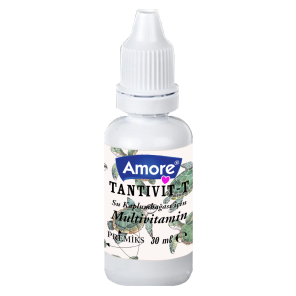 Amore Turtle Sticks 1000ml Kutu Sürüngen Kaplumbağa Yemi ve Vitamini - 3
