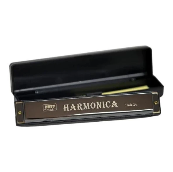 Harmonica Büyük Boy Mızıka Gri