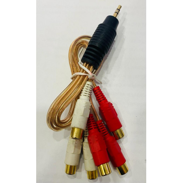 3.5mm Stereo (Erkek) to 6 x RCA (Dişi) Çevirici Kablo