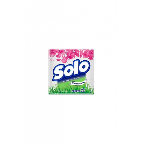 Solo Süper Peçete 100 lü x 24 Adet - 2