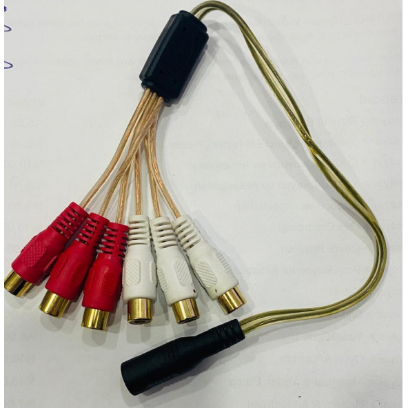 3.5mm Stereo (Dişi) to 6 x RCA (Dişi) Çevirici Kablo