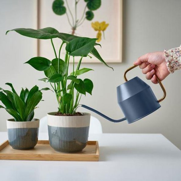 Bitki Sulama Kabı, Mavi-Gold Renk MeridyenDukkan 0.9 lt Galvanizli Çelik, Dekoratif Kap - Resim 3