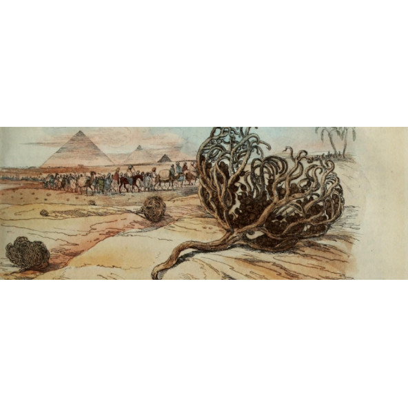 3 Adet Meryam Ana Fatma Ana Eli Otu Meryem-Ana-Doğum