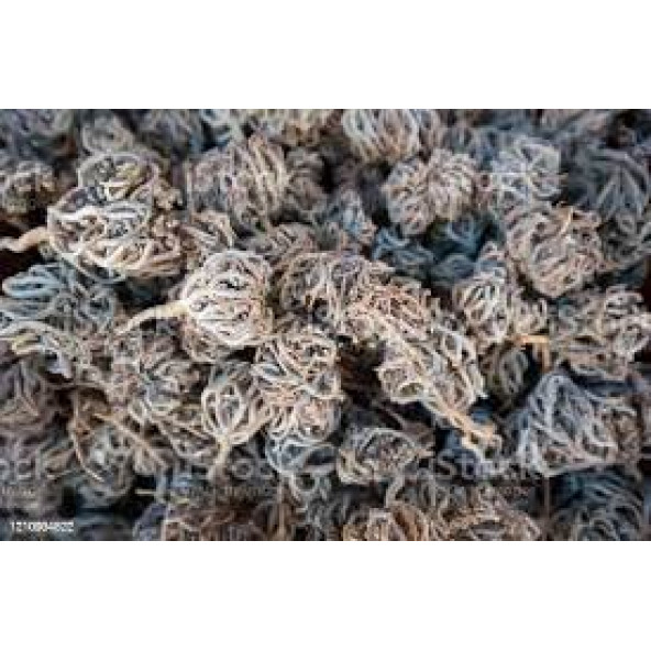 3 Adet Meryam Ana Fatma Ana Eli Otu Meryem-Ana-Doğum - 5