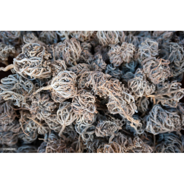 3 Adet Meryam Ana Fatma Ana Eli Otu Meryem-Ana-Doğum - 6