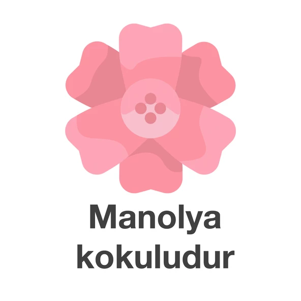 Deep Fresh Maxi Pack Islak Mendil Manolya 144 Yaprak - 4