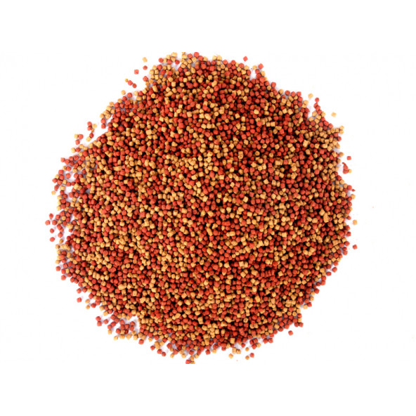 Amore Goldy Mix Granules 6  adet 125 ml Japon Balık Yemi ve Clear Akvaryum Su Berraklaştırıcı - 2