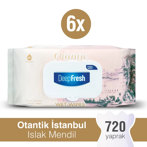 Deep Fresh Otantik Islak Mendil İstanbul 6 x 120 Yaprak