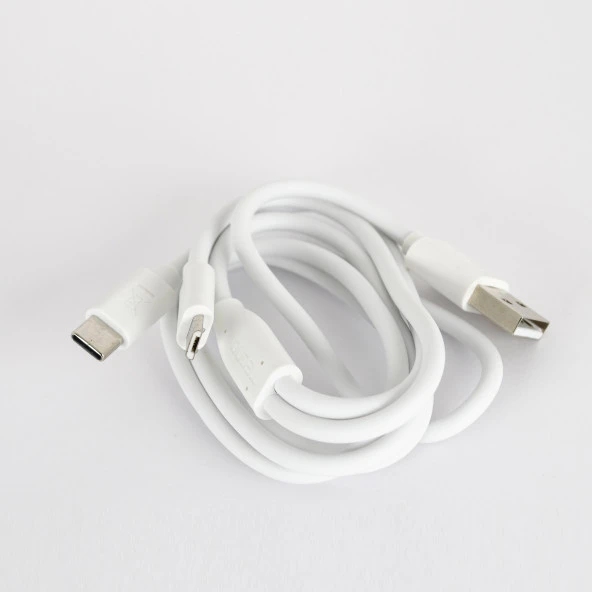 Tecno Huawei Mate 40 Pro+ İle Uyumlu Çift UsbA & Type-C ve Micro Çıkışlı Kablolu Hızlı Şarj Aleti - Resim 4