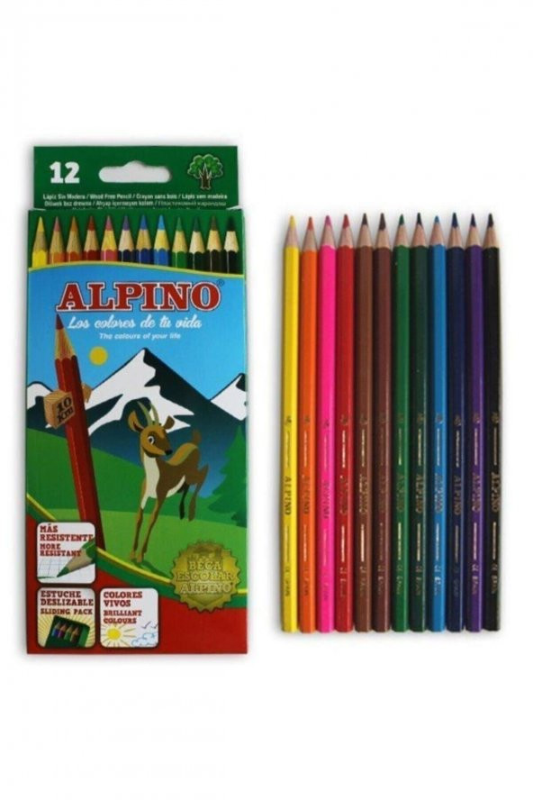 Alpino 12li Uzun Kuruboya - 2