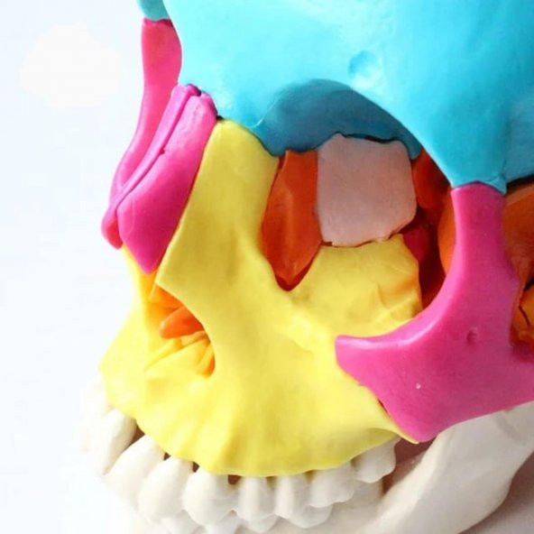 Kafa Maketi 22 Parça Normal Boy Model 35 - 2