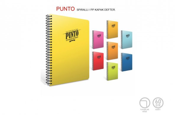 Gıpta Punto A5 Plastik Kapak 80 Yapak Çizgili Spiralli Defter