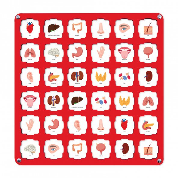 Kırmızı Ahşap MDF Eşleştirme Hafıza Oyunu 34x34 - 4
