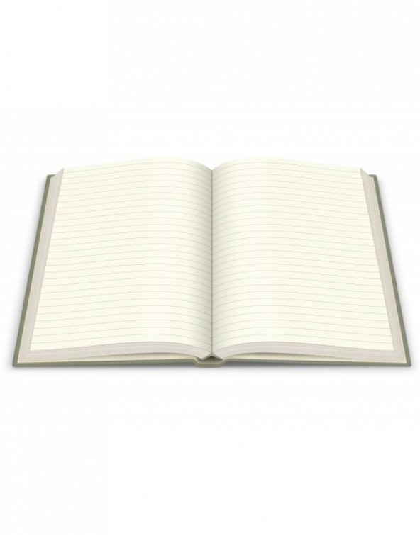 Deffter The Godfather 14x20cm Çizgili Sert Kapak 96 Yaprak Ciltli Defter - 3