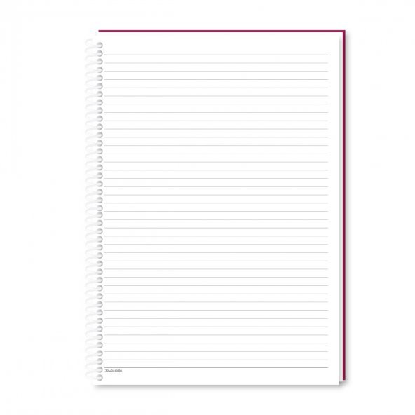 Keskin Color  La Plume A4 100 Yaprak Çizgili Spiralli Defter - 9
