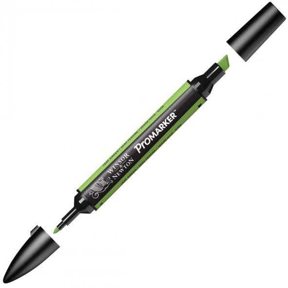 Winsor Newton Letraset Promarker Kalem G258 Leaf Green - 5