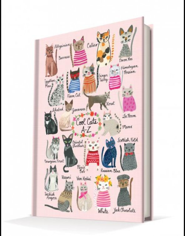 Deffter Cool Cats A-Z 14x20cm Çizgili Sert Kapak 96 Yaprak Ciltli Defter