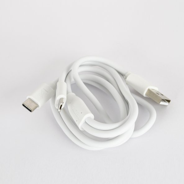 Tecno Samsung Galaxy M02 Çift UsbA & Type-C ve Micro Çıkışlı Kablolu Hızlı Şarj Aleti - Resim 4