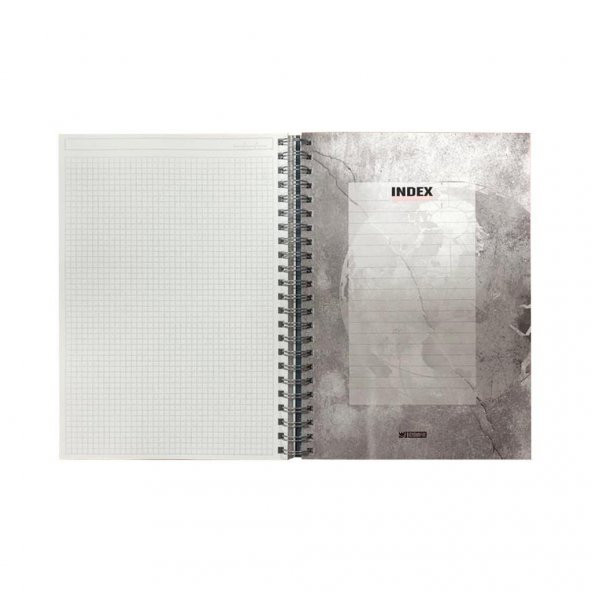 Özgün Tıme is Money A4  Plastik Kapak Spiralli Defter 160 Yaprak Çizgili 4 Bölmeli 3 Adet - 2