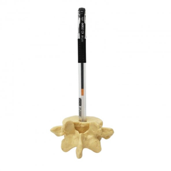 Omur Şeklinde Kalemlik Model 1 - 2