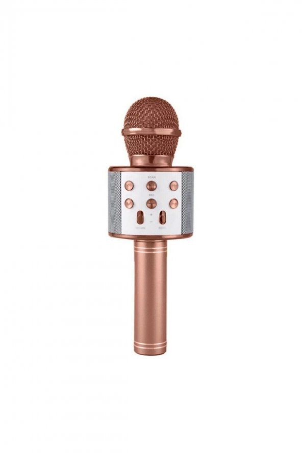 Lera Accessories Karaoke Mikrofon - 2