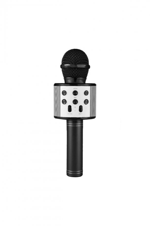 Lera Accessories Karaoke Mikrofon - 3
