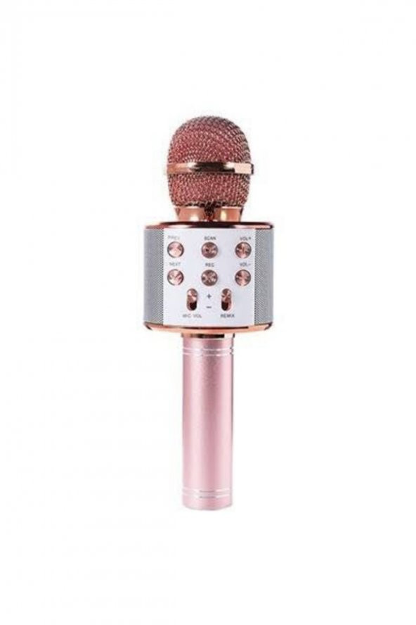 Ws-858 02 Karaoke Mikrofon Aux Usb Ve Sd Kart Girişli Bluetooth Rose Gold - 1