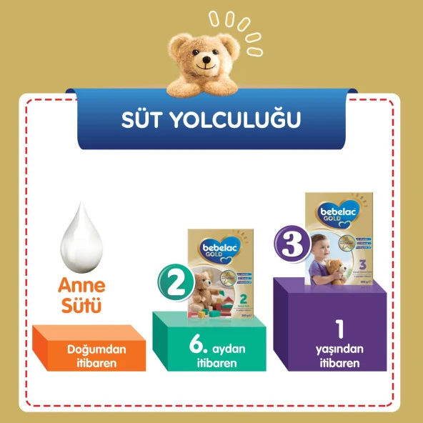 Bebelac Gold 2 Çocuk Devam Sütü 350 gr 2'li Paket - 12
