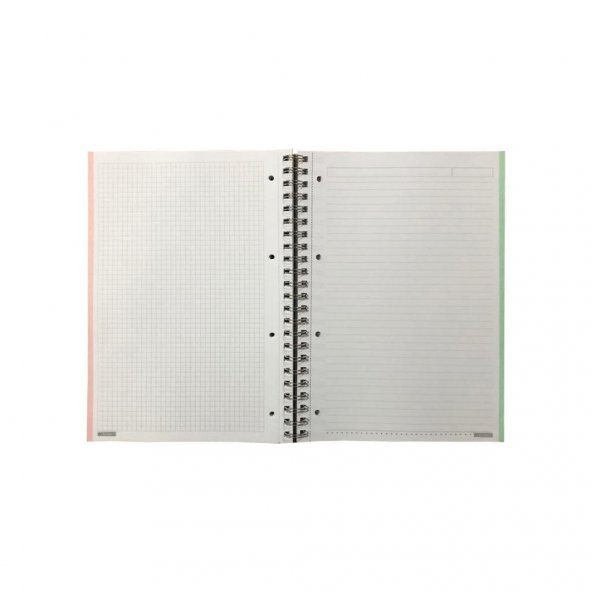 Özgün Spring A4 PP Kapak Sipiralli Defter 140 Yp. 3 Kareli + 1 Çizgili Renk Ayraçlı - 5