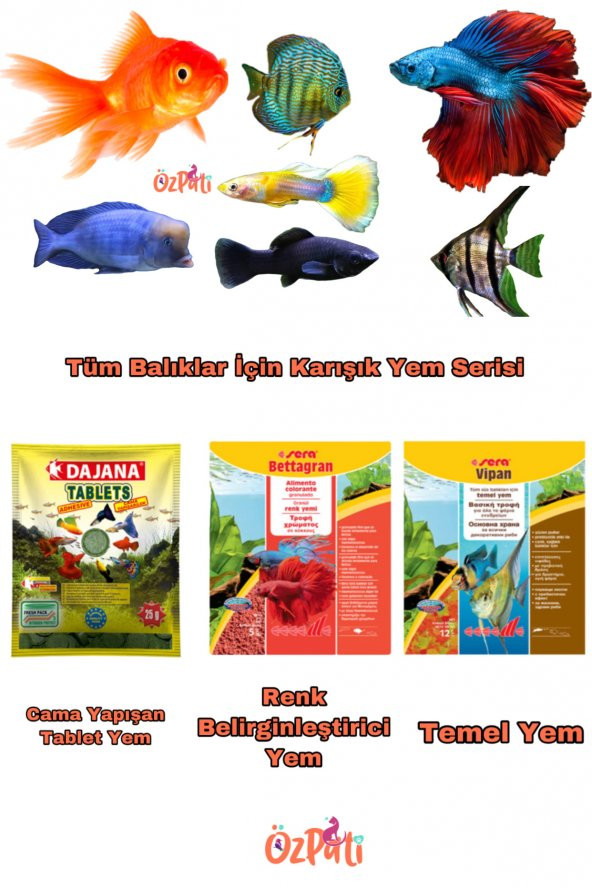 Tüm Balıklar İçin Karışık Yem ( Tablet Yem + Renk Yemi +  Temel Yem )