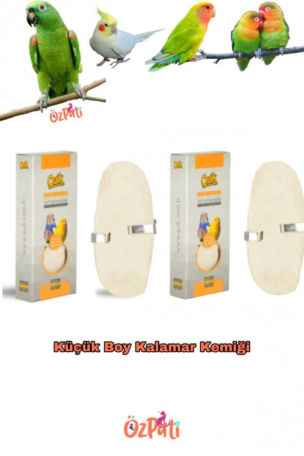 Mürekkep Balığı Kemiği ( Kalamar ) Küçük Boy 2 Adet