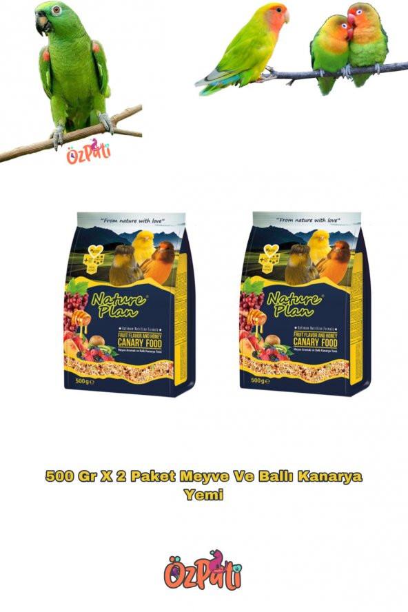 Meyve Ve Ballı Kanarya Yemi 500 Gr 2 Pk