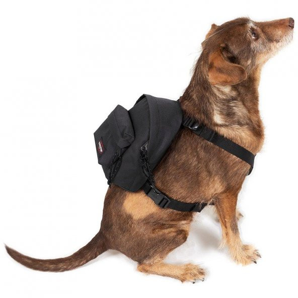Eastpak Dog Pakr Köpek Sırt Çantası Siyah
